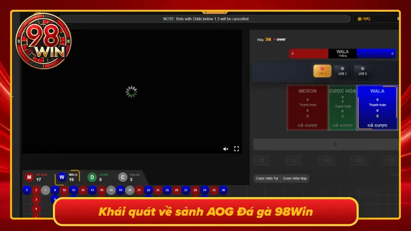 Tìm hiểu tổng quan về sảnh cược chọi kê