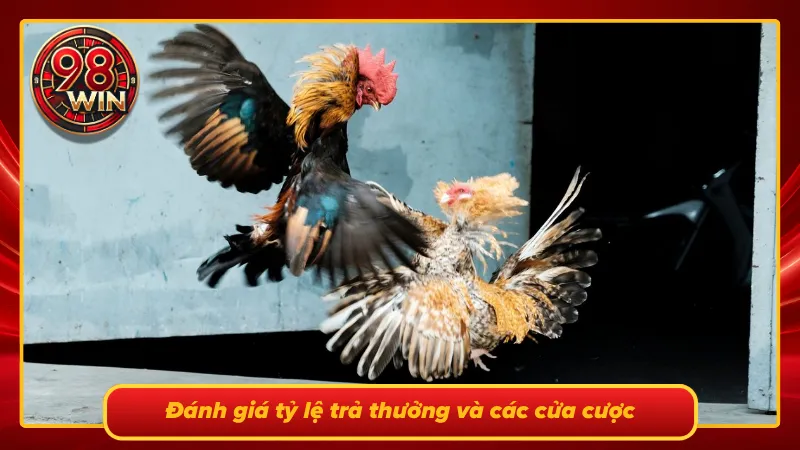 Bảng phân tích chi tiết tỷ lệ trả thưởng cược