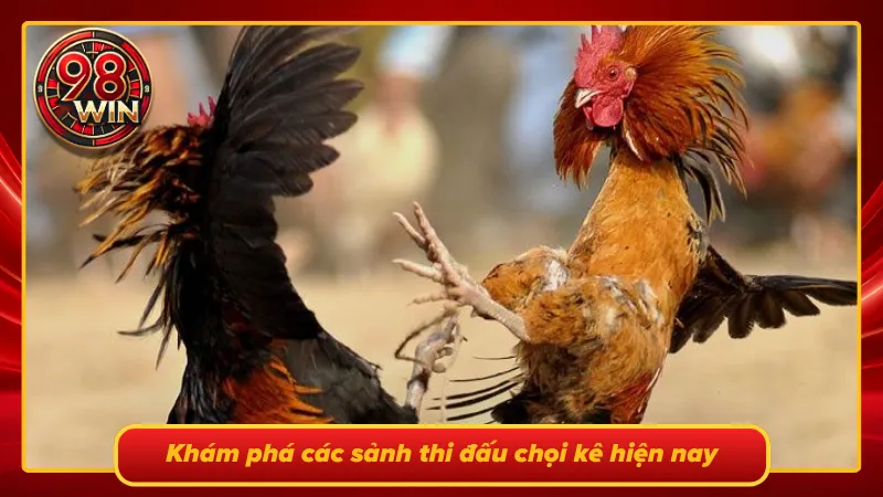 Danh sách các sảnh thi đấu chọi kê trực tuyến