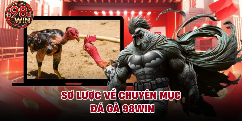 Sơ lược về chuyên mục đá gà 98Win