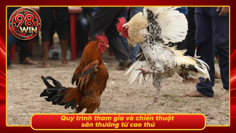 Người chơi thực hiện đặt cược các cửa kèo